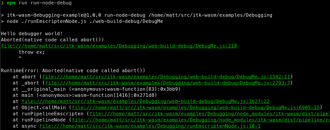 Run Node Debug